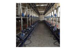 China Electric goat Herringbone Milking Parlor with Automatic system supplier