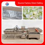 300KG/H Electric Vegetable Processing Machine Multi - Functional Fruit Cutting for sale