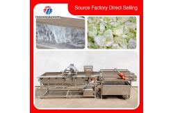 China 300KG/H Electric Vegetable Processing Machine Multi - Functional Fruit Cutting supplier