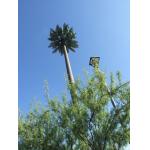4g Base Station Palm Tree Monopole Steel Tower With Camouflage Leaves Tree Bark for sale
