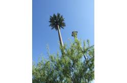 China 4g Base Station Palm Tree Monopole Steel Tower With Camouflage Leaves Tree Bark supplier