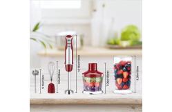 China Stainless Steel Powerful Immersion Blender 800W Handheld Kitchen Blender supplier