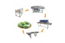 China SS304 Vegetable And Fruit Washing Machine Mango Processing Line supplier