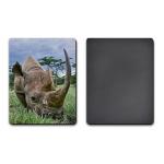 PET / PP Lenticular 3D Coolest Fridge Magnets Heidelberg Machine Printing