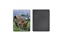 China PET / PP Lenticular 3D Coolest Fridge Magnets Heidelberg Machine Printing supplier