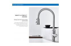 China Gooseneck Pull Out Hose Kitchen Taps supplier