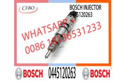 China Common Rail Injector 0445120265 Diesel Fuel Engine Injector Assemblies 0445120262 0445120263 supplier