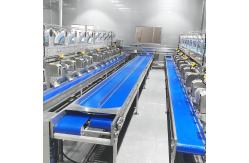 China Coconut Full Automatic Coconut Milk Processing Equipment SUS316L supplier