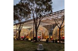 China Anti Noise Transparent Igloo Tent Portable Bubble Tent In Homestays supplier