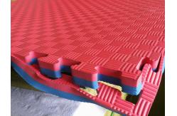 China High Density Eva Foam Taekwondo Gym Foam Mat 1*1m supplier