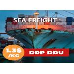 China To India LCL Ocean Shipping for sale