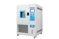 China Temperature And Humidity Walk In Environmental Test Chamber Large Space supplier