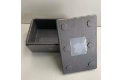 China Customized EPP Foam Packaging Box Highly Shock Absorbent supplier