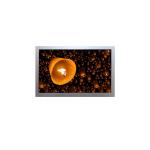 AA080MB11ADA11 8.0 inch 800*480 LVDS 20 Pins LCD Screen Display for sale