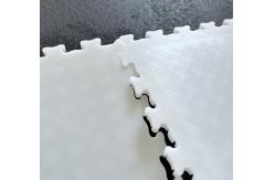 China Interlocking Hockey Skating Tiles Smooth Indoor Ice Skating Tiles supplier