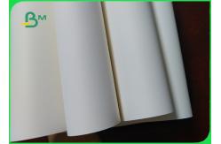 China 230um Premium Matt Coated Synthetic Paper HDPE Film Coated Paper supplier