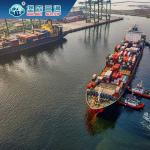 Door To Door Air And Sea Freight Forwarders International With Export Package for sale