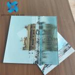 Digital Printing Coated Glass Color Pattern Shape Customization