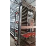 Hot Galvanized Layer Chicken Cage Machine Poultry Farm House Animal Cage for sale