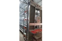 China High Brood Survival Rate Layer Chicken Cage Multilayer Partition Structure supplier