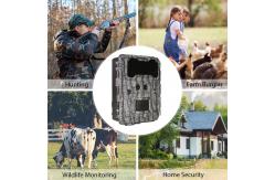 China High Sensor Resolution Wildlife Camera 13MP Cmos Dual Lens Trail Camera supplier