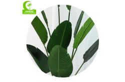 China Artificial Traveler's Palm Decorative Best Office Plants supplier