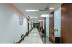 China Fumed Silica Powder manufacturer