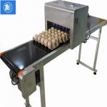 Automatic Egg Jet Printer With Large - Scale Imported Integrated Circuits for sale