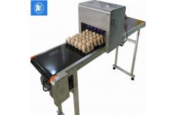 China Automatic Egg Jet Printer With Large - Scale Imported Integrated Circuits supplier