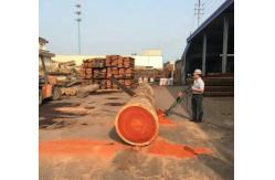 China Mobile Portable Wood Chainsaw Sawmill Lumber Cutting Chain Saw Machine supplier