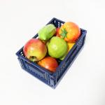 Folding CE Plastic Household Storage Containers For Kitchen Stackable Reusable for sale