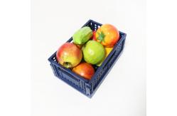 China Folding CE Plastic Household Storage Containers For Kitchen Stackable Reusable supplier
