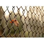 Uniform Mesh Hole 3mm Green Chain Link Fence for sale