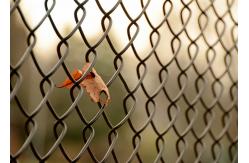 China Uniform Mesh Hole 3mm Green Chain Link Fence supplier