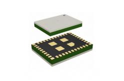 China Wireless Communication Module LBWA1KL1FX-875 2.4GHz 17dBm Dual Band W-LAN Modules supplier