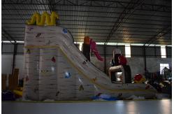 China Classic Inflatable Jump House , Inflatable Witch Dry Slide With Animals On It supplier