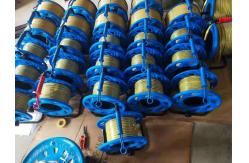 China Accurate Measurement Steel Ruler Water Level Gauge supplier