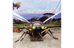 China Waterproofing Animatronic Insects Cicada supplier