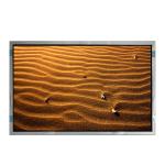 VVX27T160H00 27.0 inch 1500:1 LVDS LCD Display Screen Panel for sale