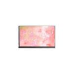 Hot Sell 11.6 inch 1366*768 N116BCP-EB1 40 pins LCD Panel for sale