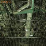 High Temperture Rubber Heat Aging Test Chamber