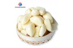 China 90KG Skin Peeling Air Compressor Garlic Processing Machine Garlic Root Shallots supplier