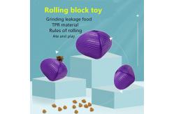 China Interactive Toy Pet Dog Puzzle TPR Molars Elastic Leaky Ball supplier
