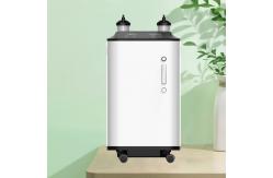 China 10L Low Noise Home Use Oxygen Concentrator Light Weight supplier