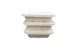 China Eco Friendly Compostable 750ml Sugarcane Bagasse Take Out Containers With Lid supplier