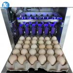 Automatic Jet Coding Machine Industrial Inkjet Barcode Printers On Egg Top And Sides