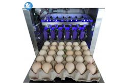 China Automatic Jet Coding Machine Industrial Inkjet Barcode Printers On Egg Top And Sides supplier