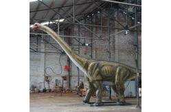 China Lifelike Animatronic Dinosaur Amusement Park Diplodocus Model supplier
