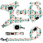 Fashion Printing Pet Harness Set For Dog Quick Release Sustainable for sale