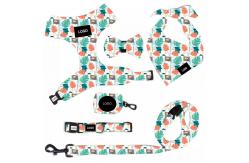 China Fashion Printing Pet Harness Set For Dog Quick Release Sustainable supplier